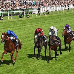 Enjoy a day at the races with the North West Lord's Taverners.jpg