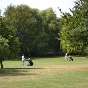 golf1.jpg