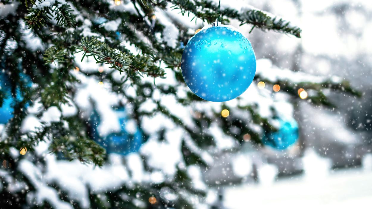 blue-bauble-on-green-christmas-tree-3626214.jpg